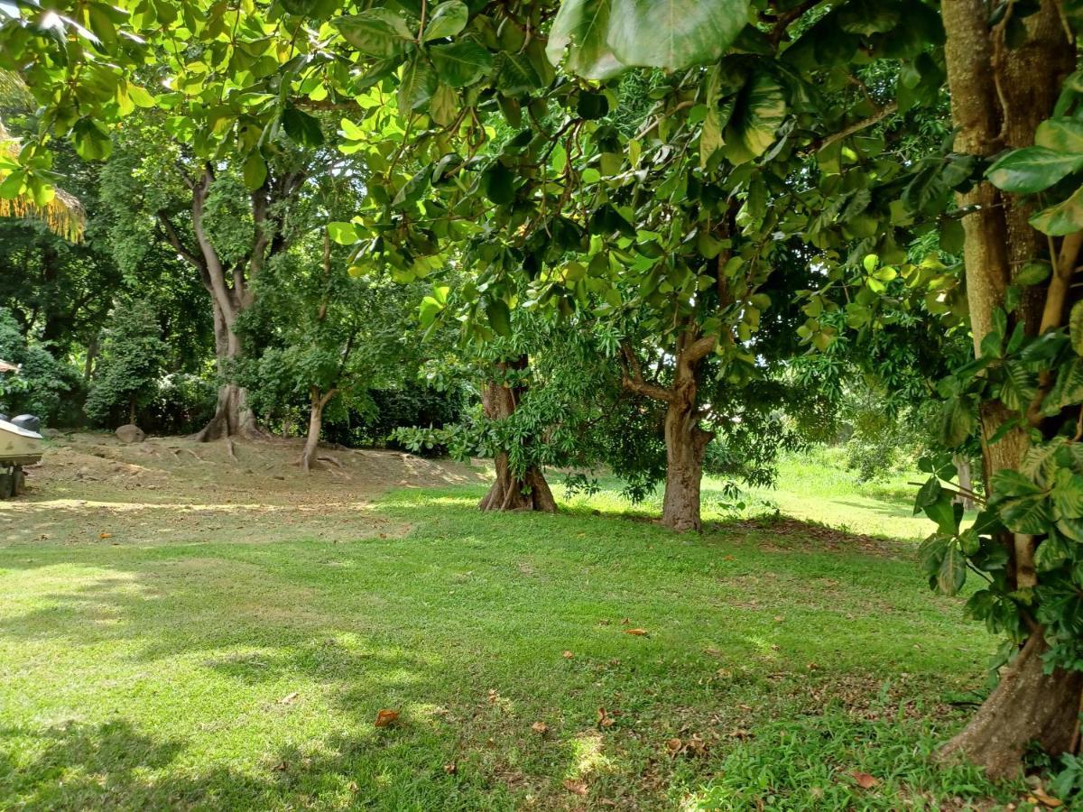 Bungalow Papaye Pointe-Noire Extérieur photo